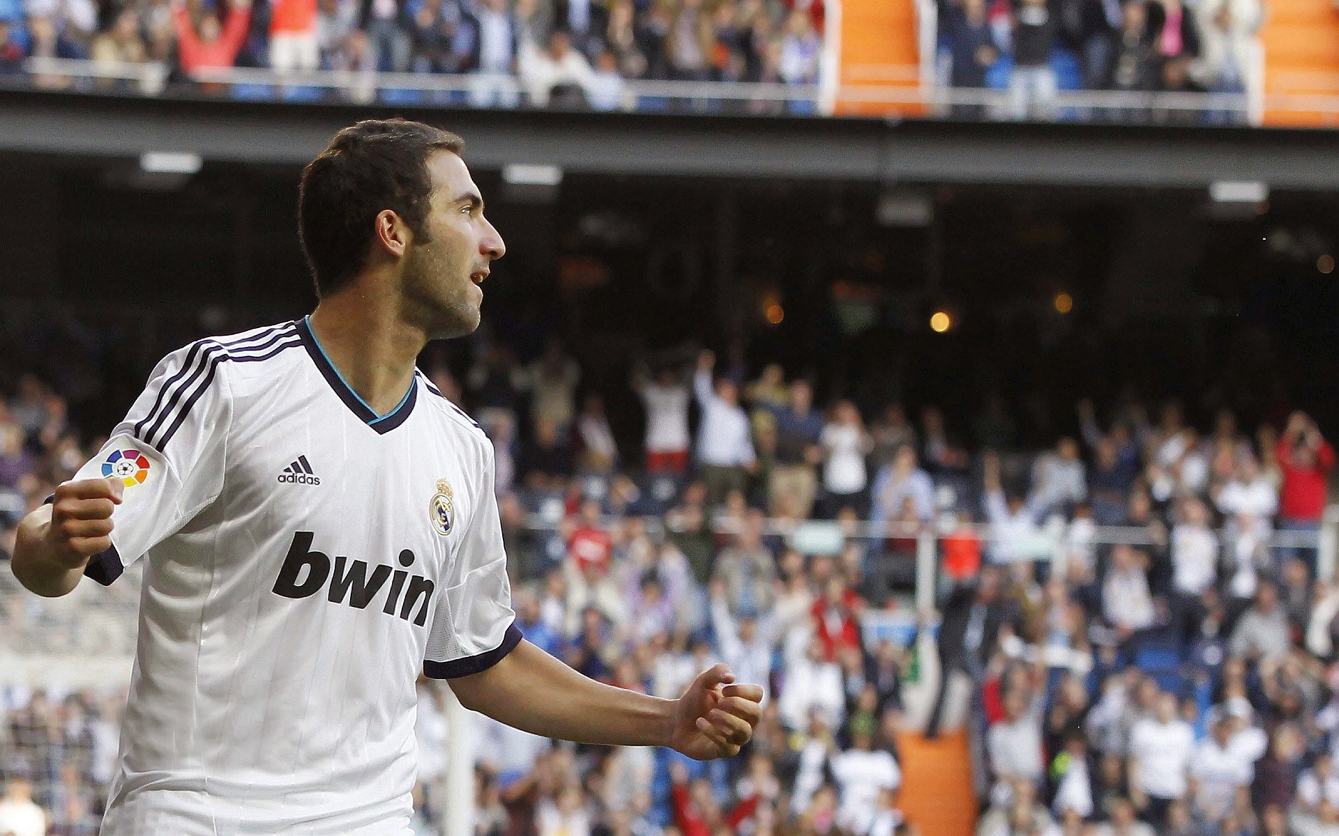 南非橄榄球:成功举办的赛事推动当地经济发展,南非获得橄榄球世界杯