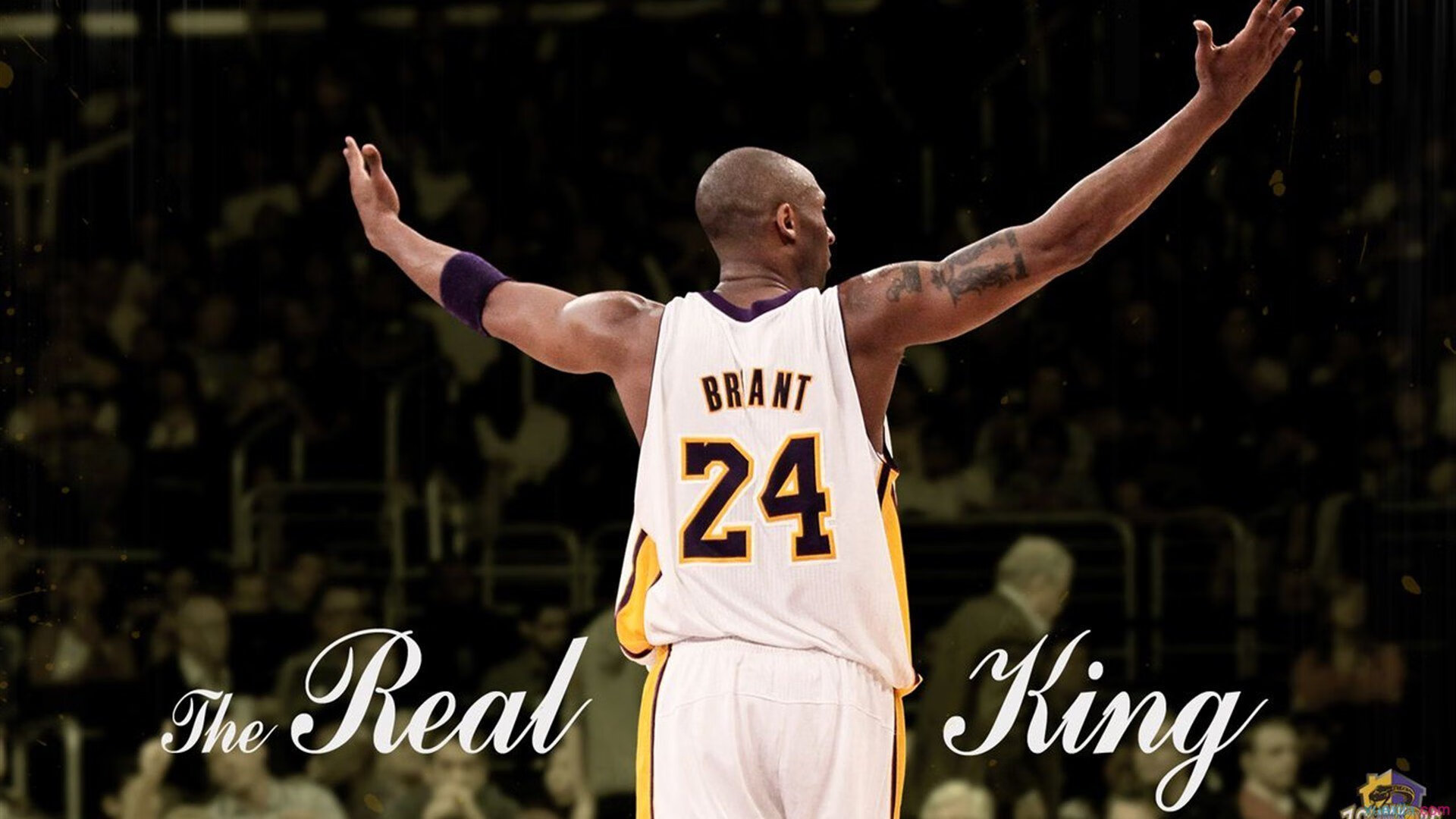 南非橄榄球:成功举办的赛事推动当地经济发展,南非获得橄榄球世界杯